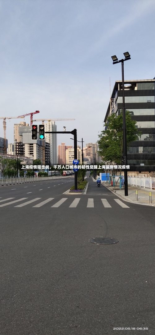 上海疫情阻击战	，千万人口城市的韧性觉醒上海最新情况疫情-第3张图片