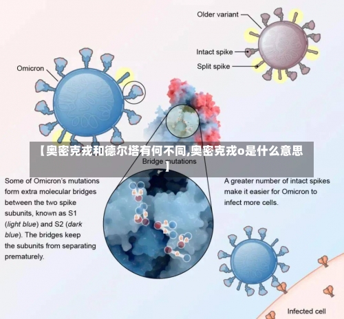 【奥密克戎和德尔塔有何不同,奥密克戎o是什么意思】-第2张图片