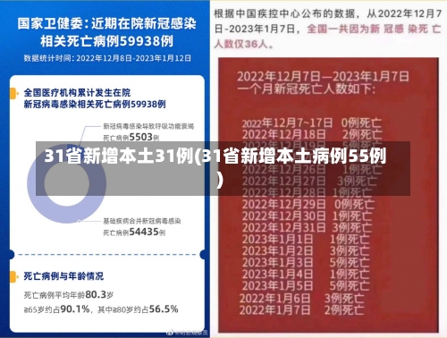 31省新增本土31例(31省新增本土病例55例)-第1张图片