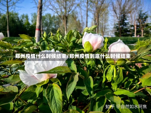 郑州疫情什么时候结束/郑州疫情到底什么时候结束-第2张图片