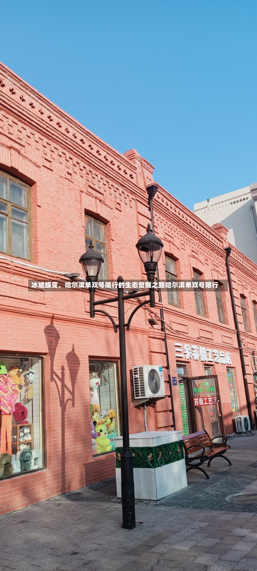 冰城蝶变，哈尔滨单双号限行的生态觉醒之路哈尔滨单双号限行-第1张图片