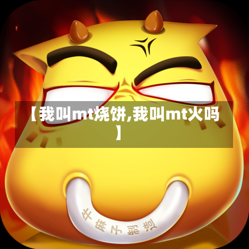 【我叫mt烧饼,我叫mt火吗】-第3张图片