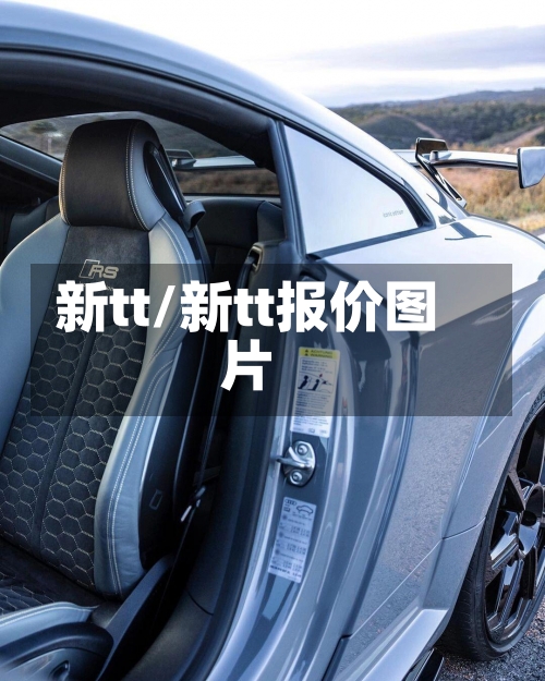新tt/新tt报价图片-第1张图片