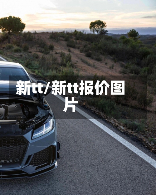 新tt/新tt报价图片-第2张图片