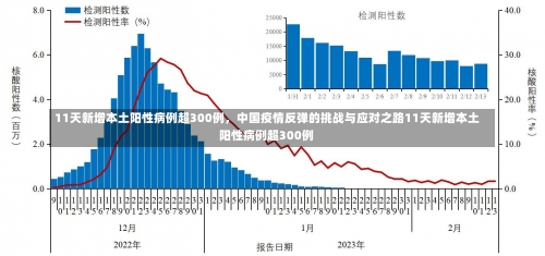 11天新增本土阳性病例超300例，中国疫情反弹的挑战与应对之路11天新增本土阳性病例超300例-第3张图片