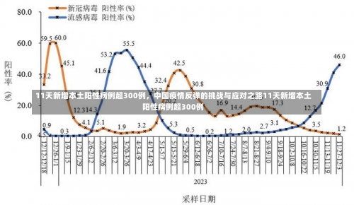 11天新增本土阳性病例超300例，中国疫情反弹的挑战与应对之路11天新增本土阳性病例超300例-第2张图片