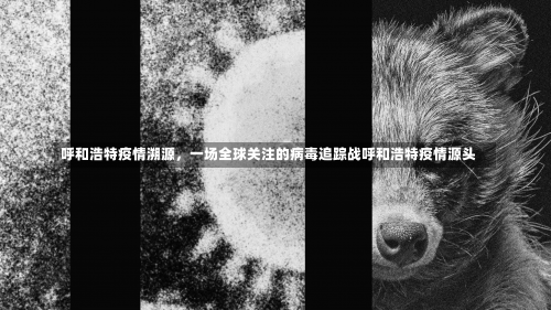 呼和浩特疫情溯源，一场全球关注的病毒追踪战呼和浩特疫情源头-第3张图片