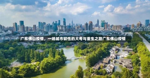 广东佛山疫情，一场城市韧性的大考与重生之路广东佛山疫情-第1张图片