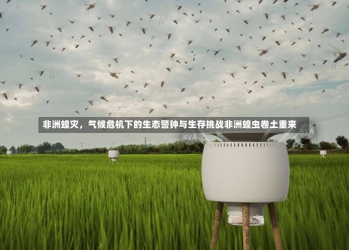 非洲蝗灾	，气候危机下的生态警钟与生存挑战非洲蝗虫卷土重来-第2张图片