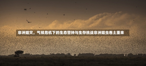 非洲蝗灾，气候危机下的生态警钟与生存挑战非洲蝗虫卷土重来-第3张图片