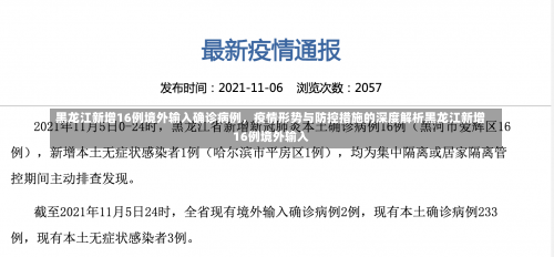黑龙江新增16例境外输入确诊病例	，疫情形势与防控措施的深度解析黑龙江新增16例境外输入-第1张图片