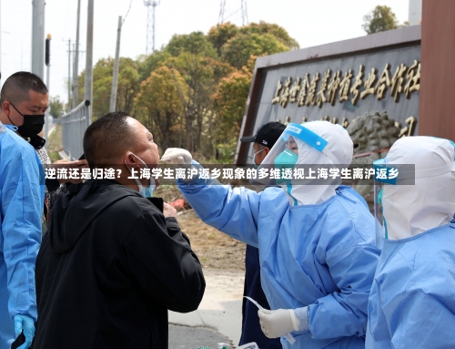 逆流还是归途？上海学生离沪返乡现象的多维透视上海学生离沪返乡-第2张图片