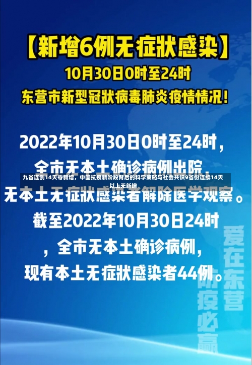 九省连创14天零新增	，中国抗疫新阶段背后的科学策略与社会共识9省份连续14天以上无新增-第2张图片