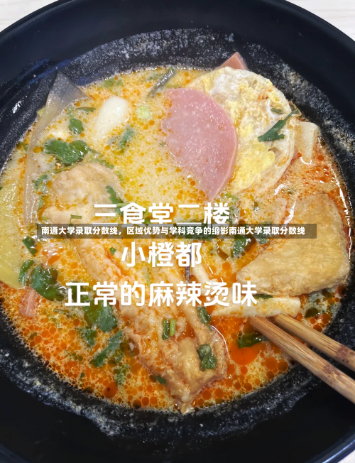 南通大学录取分数线，区域优势与学科竞争的缩影南通大学录取分数线-第1张图片