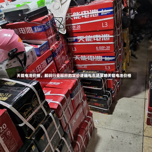 天能电池价格	，解码行业标杆的定价逻辑与市场策略天能电池价格-第2张图片