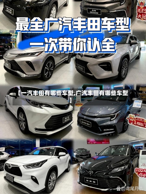 【一汽丰田有哪些车型,广汽丰田有哪些车型】-第3张图片