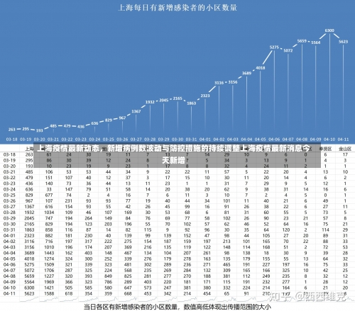 上海疫情最新动态，新增病例数波动与防控措施的持续调整上海疫情最新消息今天新增-第1张图片