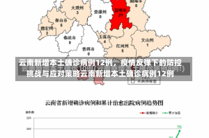 云南新增本土确诊病例12例，疫情反弹下的防控挑战与应对策略云南新增本土确诊病例12例-第1张图片