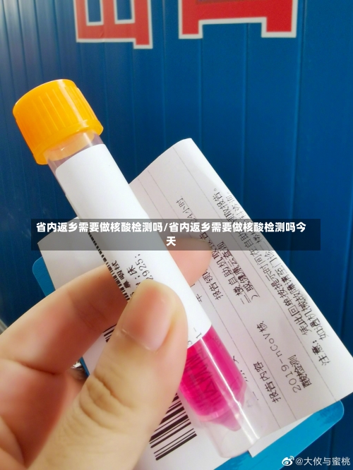 省内返乡需要做核酸检测吗/省内返乡需要做核酸检测吗今天-第1张图片