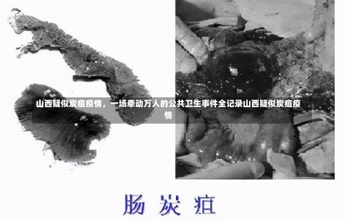 山西疑似炭疽疫情，一场牵动万人的公共卫生事件全记录山西疑似炭疽疫情-第1张图片