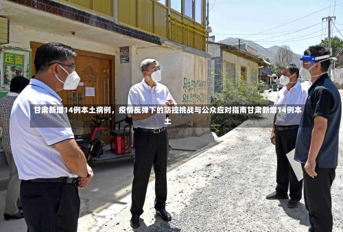 甘肃新增14例本土病例	，疫情反弹下的防控挑战与公众应对指南甘肃新增14例本土-第2张图片