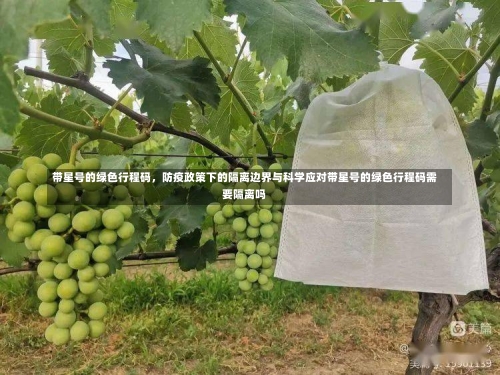 带星号的绿色行程码，防疫政策下的隔离边界与科学应对带星号的绿色行程码需要隔离吗-第1张图片