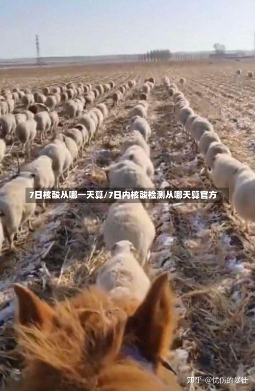 7日核酸从哪一天算/7日内核酸检测从哪天算官方-第1张图片