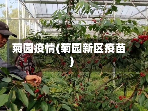 菊园疫情(菊园新区疫苗)-第1张图片