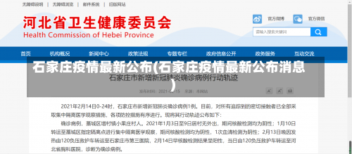 石家庄疫情最新公布(石家庄疫情最新公布消息)-第2张图片