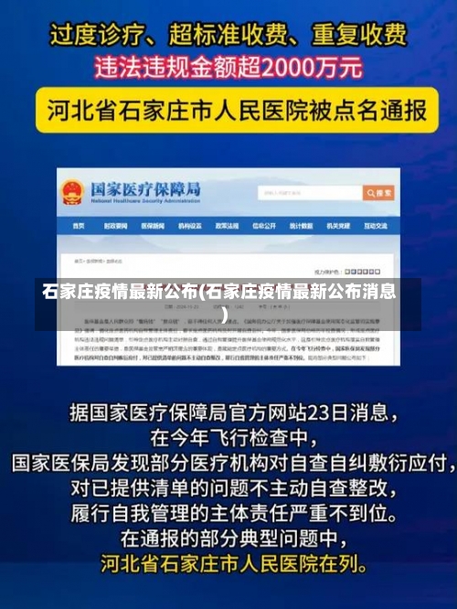 石家庄疫情最新公布(石家庄疫情最新公布消息)-第3张图片