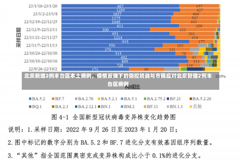 北京新增2例丰台区本土病例，疫情反弹下的防控挑战与市民应对北京新增2例丰台区病例-第3张图片