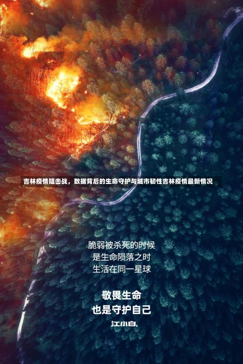 吉林疫情阻击战	，数据背后的生命守护与城市韧性吉林疫情最新情况-第1张图片