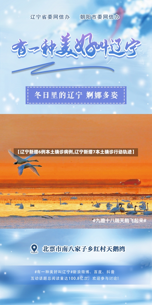 【辽宁新增6例本土确诊病例,辽宁新增7本土确诊行动轨迹】-第1张图片