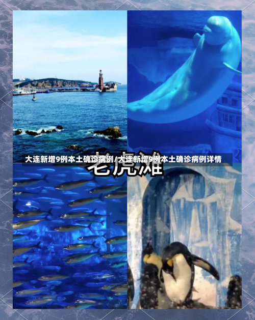 大连新增9例本土确诊病例/大连新增9例本土确诊病例详情-第1张图片