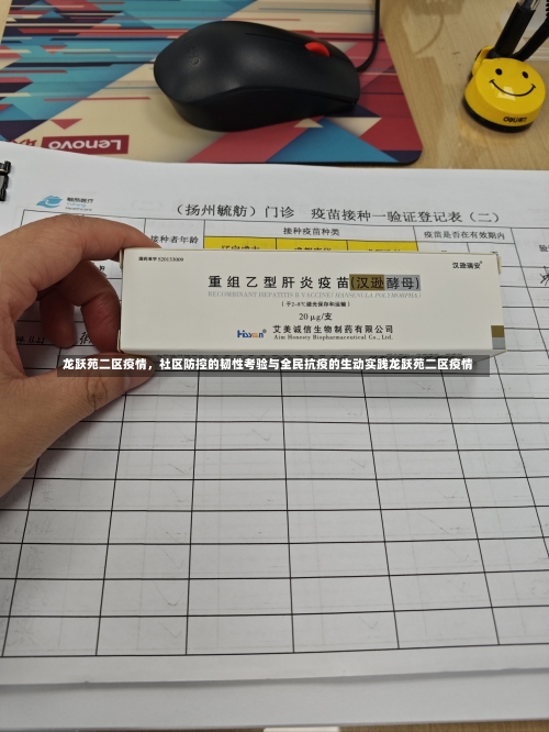 龙跃苑二区疫情，社区防控的韧性考验与全民抗疫的生动实践龙跃苑二区疫情-第2张图片