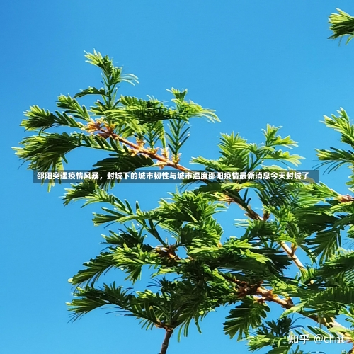 邵阳突遇疫情风暴	，封城下的城市韧性与城市温度邵阳疫情最新消息今天封城了-第1张图片