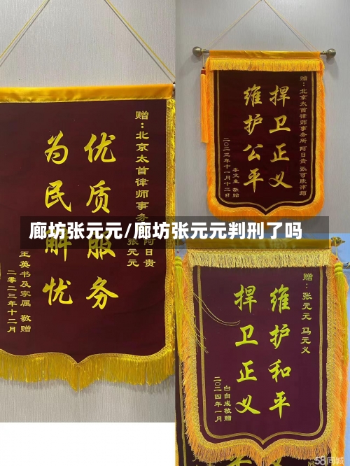 廊坊张元元/廊坊张元元判刑了吗-第3张图片