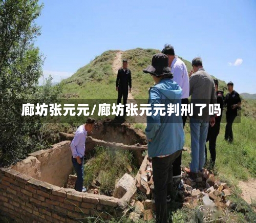 廊坊张元元/廊坊张元元判刑了吗-第1张图片