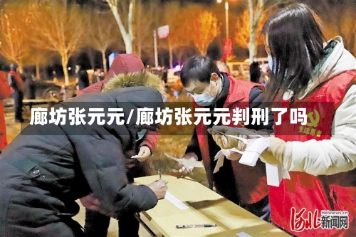 廊坊张元元/廊坊张元元判刑了吗-第2张图片