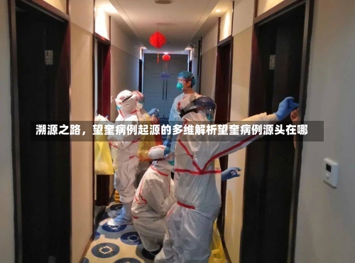 溯源之路，望奎病例起源的多维解析望奎病例源头在哪-第2张图片