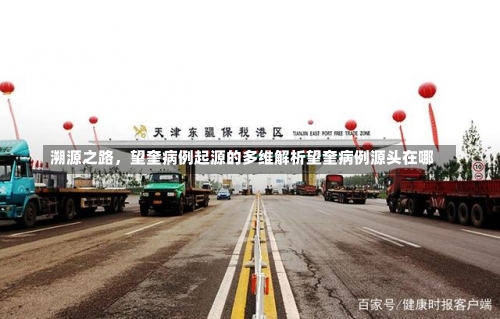 溯源之路	，望奎病例起源的多维解析望奎病例源头在哪-第1张图片