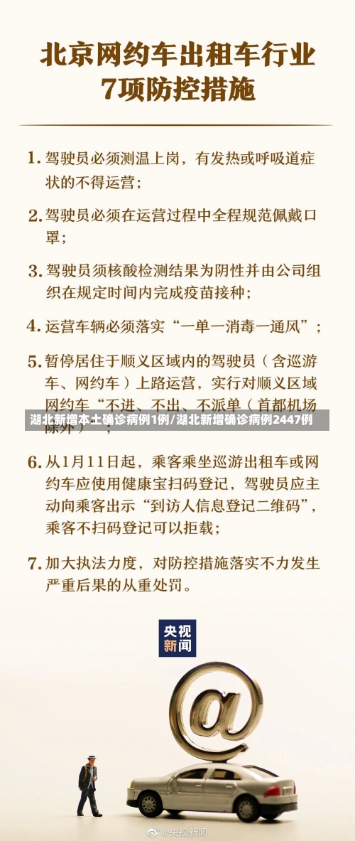 湖北新增本土确诊病例1例/湖北新增确诊病例2447例-第2张图片