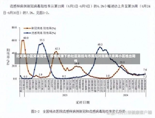 北京两小区突发阳性！疫情反弹下的社区防控与市民应对指南北京两小区检出阳性-第2张图片