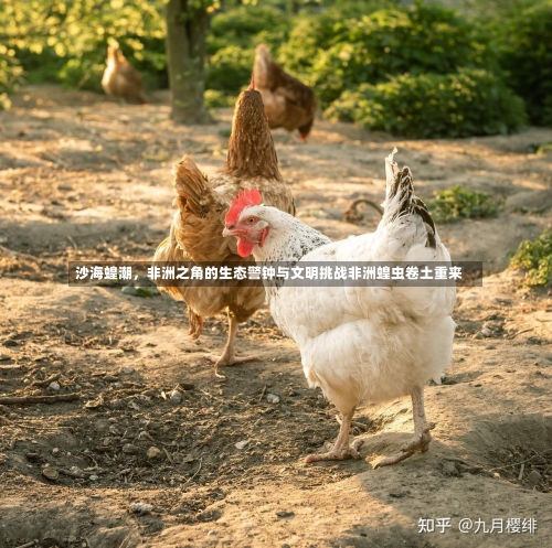 沙海蝗潮，非洲之角的生态警钟与文明挑战非洲蝗虫卷土重来-第2张图片