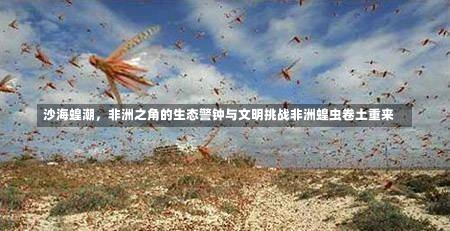 沙海蝗潮，非洲之角的生态警钟与文明挑战非洲蝗虫卷土重来-第1张图片