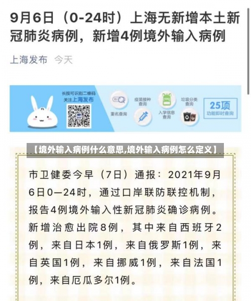 【境外输入病例什么意思,境外输入病例怎么定义】-第2张图片