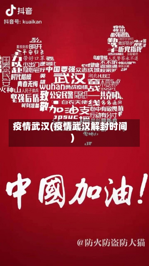 疫情武汉(疫情武汉解封时间)-第2张图片