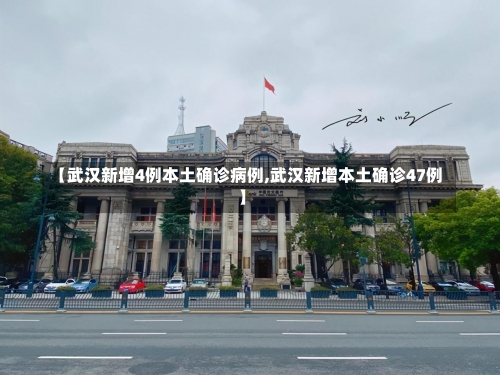 【武汉新增4例本土确诊病例,武汉新增本土确诊47例】-第1张图片