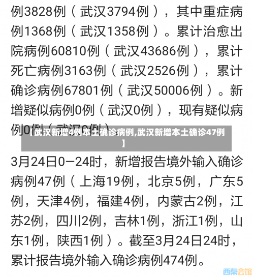 【武汉新增4例本土确诊病例,武汉新增本土确诊47例】-第3张图片