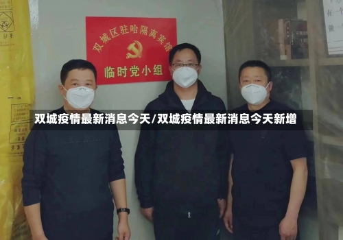双城疫情最新消息今天/双城疫情最新消息今天新增-第2张图片